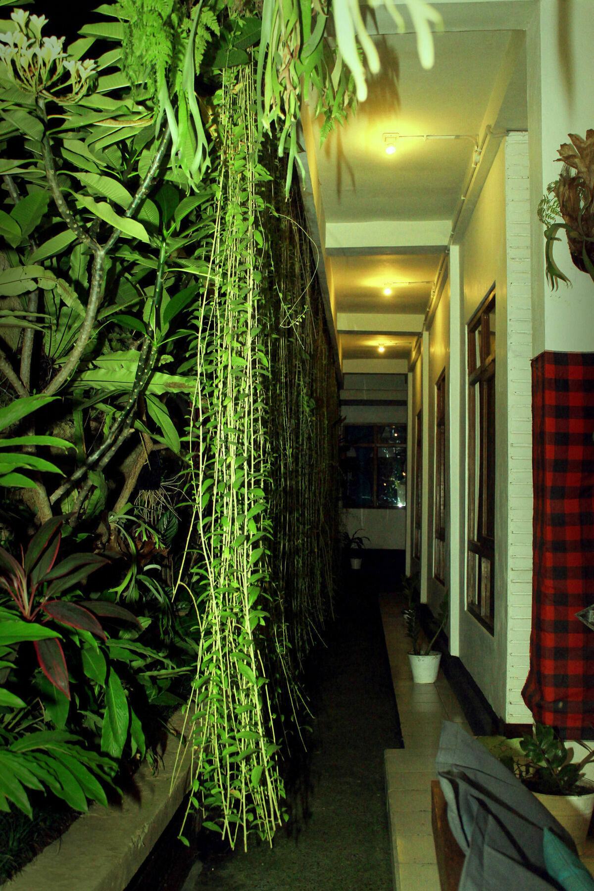 Friendly House Bali Ubud Exterior foto